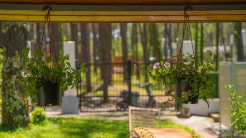 Villa Shekvetili Big Wonder