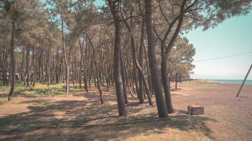 Villa Shekvetili Big Wonder