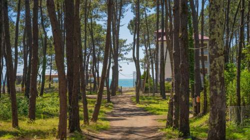 Villa Shekvetili Big Wonder