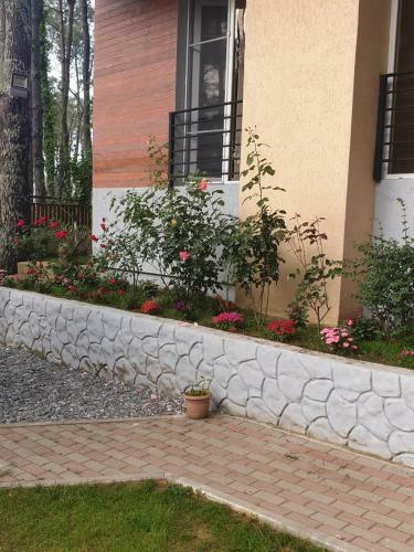 Villa Shekvetili Big Wonder