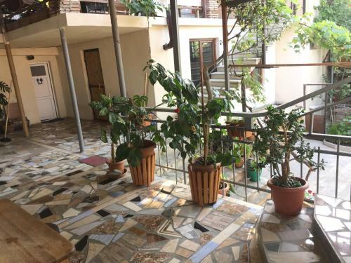 Hostal Guest House Loza