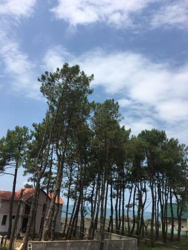 Villa Green Cottage Shekvetili