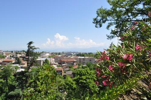 Hostal Guesthouse Anina