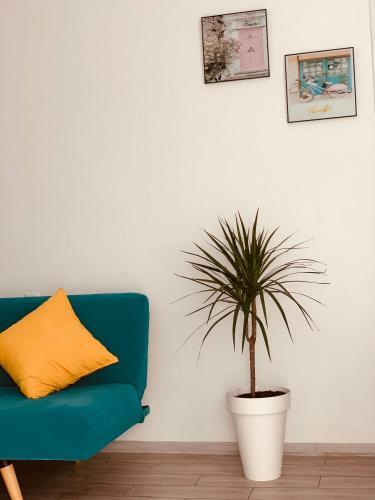 Tekatuka?s Sweet Apartment ?life ?happiness