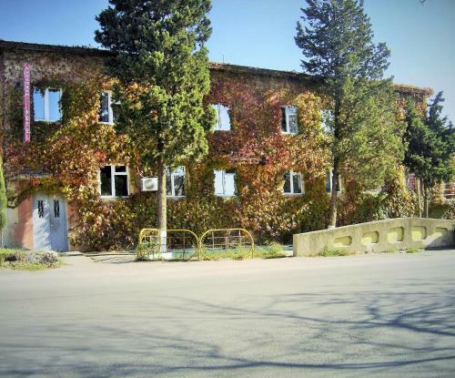 Hotel Lilo Near Airport