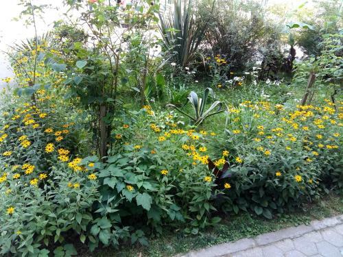 Apartamento Appartment In Batumi