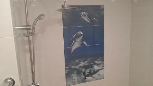 Sea-view Beluga & Dolphin Luxury Hotel Apartments