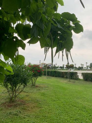 Sea View Apartments Orbi Beach Tower