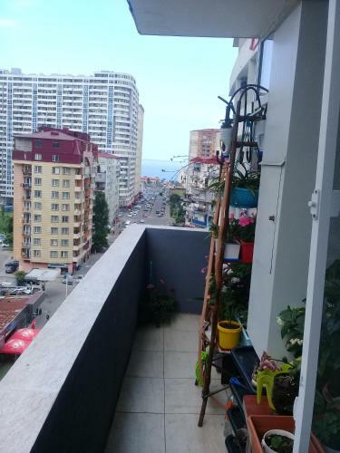 M&g Apartment's Black Sea