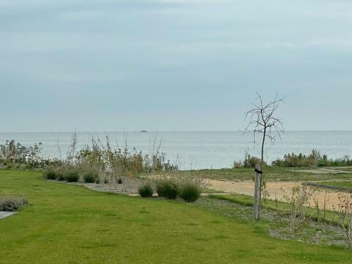 Apartamento Strand Chalet Am Ijsselmeer Haus 202