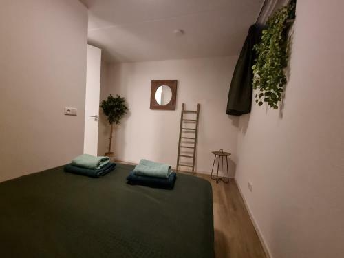 Luxe Wellness Woning Met Prive Sauna En Jacuzzi
