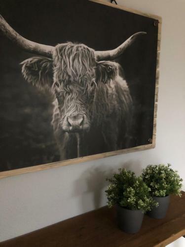 Veluws Rietgedekt Bungalow