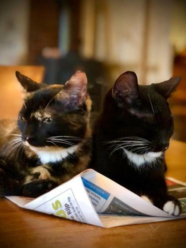 B&B De Pauw - Country Home Cooking