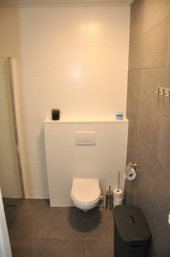 Hostal Elvis Presley Private Studio With Kitchen And Airconditioning