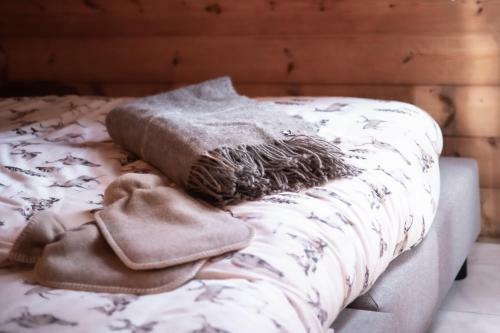 Scandinavisch Huisje Met Vuurplaats