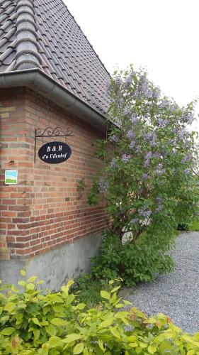 B&B D'n Uilenhof Haren