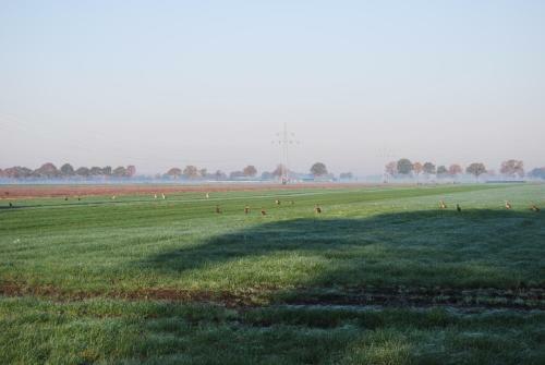 Bed & Breakfast Hoeve De Heemser Parel