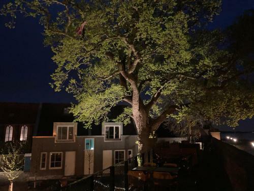 Apartamento Stadsappartementen Harderwijk