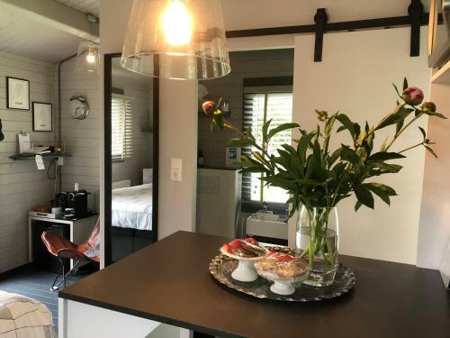 Tiny House Boatshed