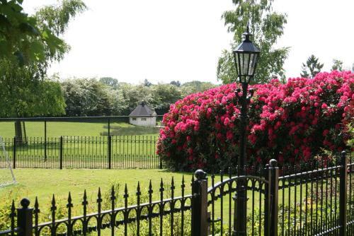 Bed & Breakfast In Den Paerd Gelogeerd