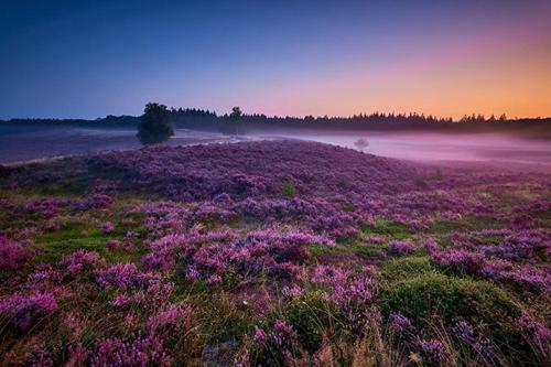Bed & Breakfast In Den Paerd Gelogeerd