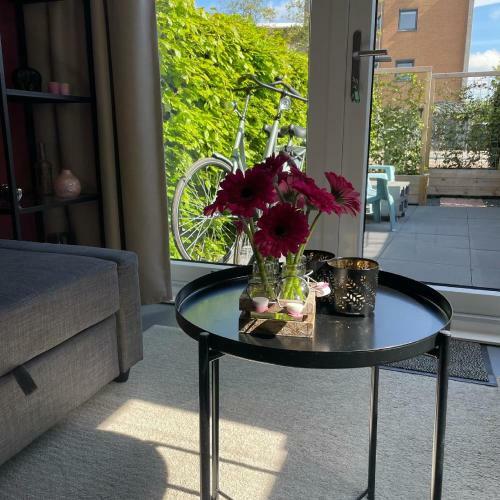 Bed & Breakfast Studio Triple B