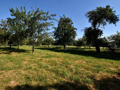 Spacious Holiday Home In Herveld With Pool