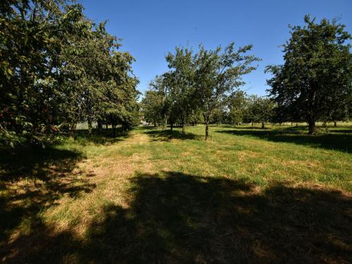 Spacious Holiday Home In Herveld With Pool