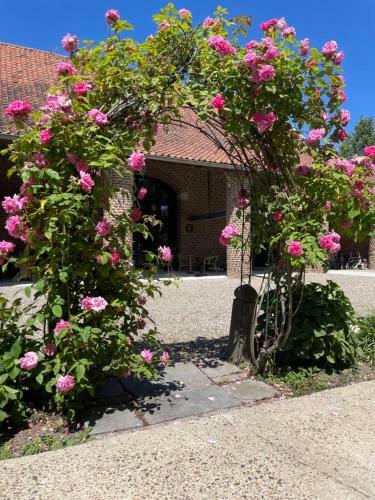 Bed & Breakfast Logies Chateau Holtum