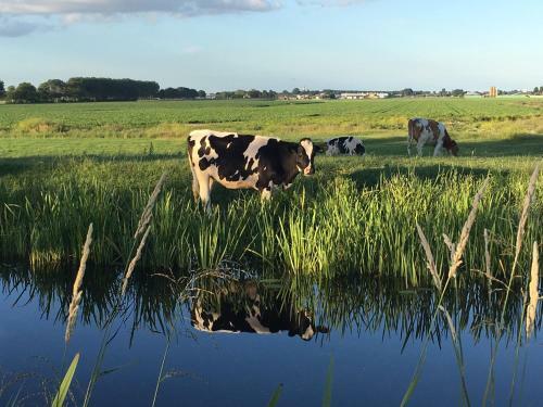 Groeten Uit Hoogmade - Rural Cottage