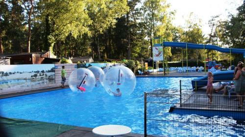 Chalet Forel Op De Veluwe In Hoenderloo