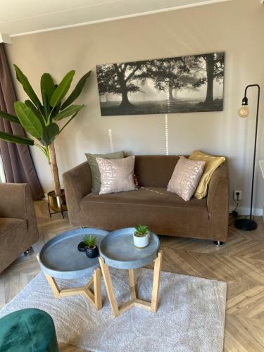 Chalet Forel Op De Veluwe In Hoenderloo