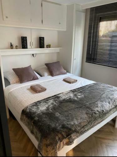 Chalet Forel Op De Veluwe In Hoenderloo