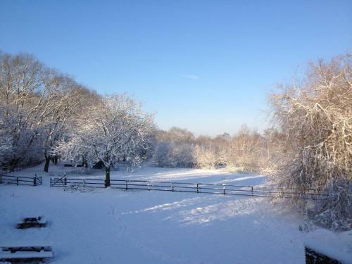 B&B Landgoed Bergerven