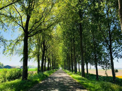 Bed & Breakfast Slapen Bij De Zeeuwse Lala