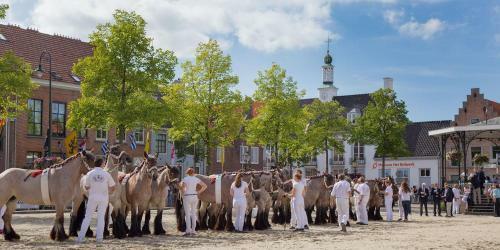 Apartamento Het Zeeuwse Bloemenhuis