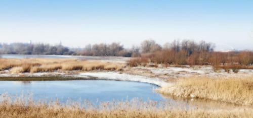 Bed & Breakfast Waard Van Kekerdom