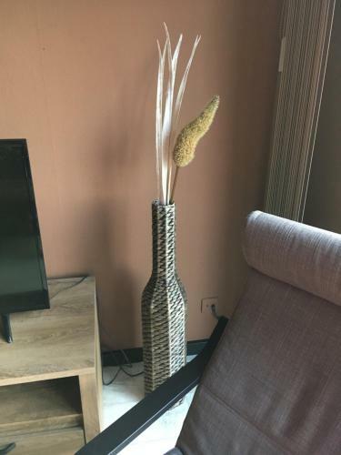 Apartamento Ameland Rentals Hollum