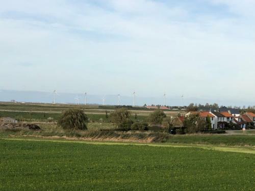 De Goede Verwachting