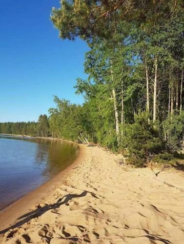 Tiny House Tree Of Life