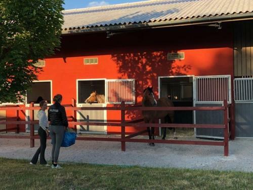 Bed & Breakfast Flyingehus G�rdshotell