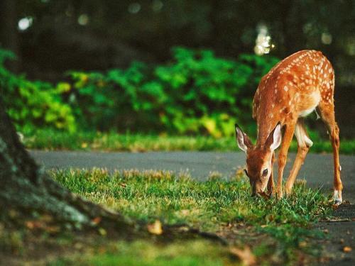 Holiday Home Fr�ndefors VI