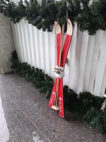 Hostal Hajnal Vend�gh�z