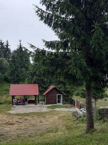 Hostal Hajnal Vend�gh�z