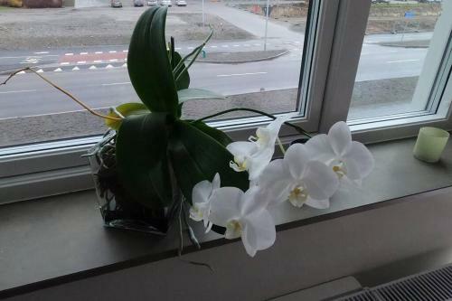 A Private Room In An Apartment G�teborg