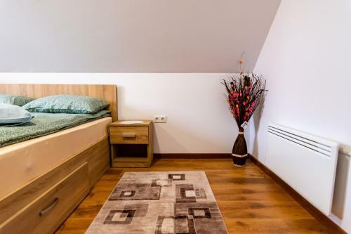 Hostal Csics�i Cs?rh�z