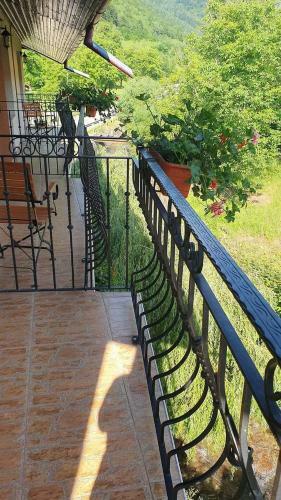 Albergue Pensiunea Mirela Pe?tera Ur?ilor