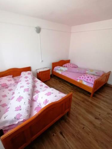 Hostal Pensiunea Poarta Lui Ionele
