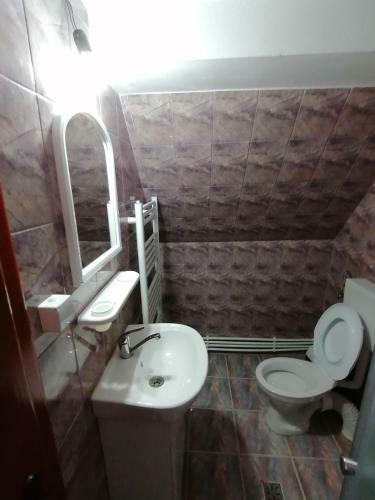 Hostal Pensiunea Poarta Lui Ionele