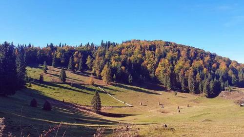 Hostal Pensiunea Poarta Lui Ionele